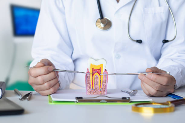 Best Walk-In Emergency Dentist in Brookhaven, WV